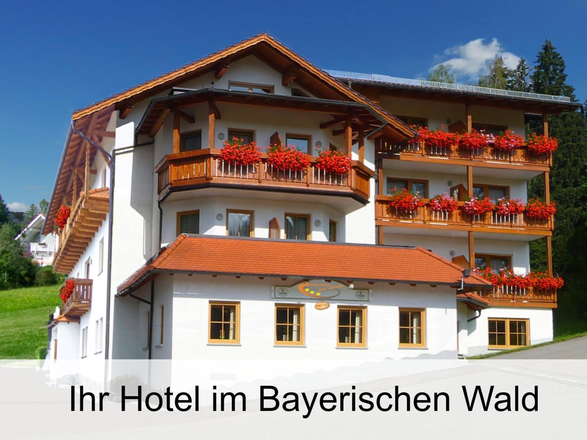 Garnihotel Zur Linde - Bayerischer Wald - Aktivcard Mit 154 Kostenfreien Leistungen - Kostenloser Parkplatz لوبيرغ المظهر الخارجي الصورة