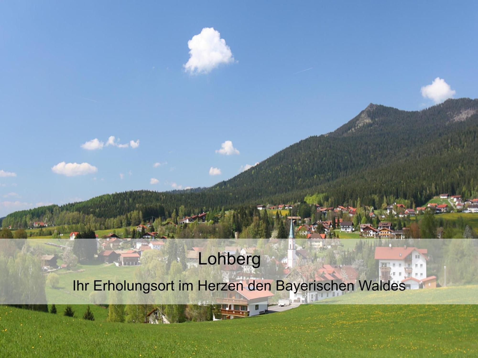 Garnihotel Zur Linde - Bayerischer Wald - Aktivcard Mit 154 Kostenfreien Leistungen - Kostenloser Parkplatz لوبيرغ المظهر الخارجي الصورة